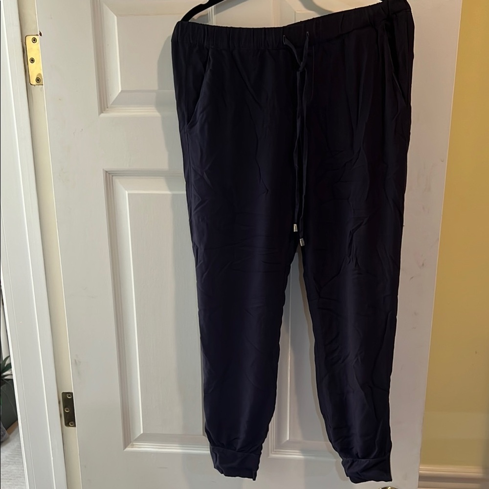 Splendid Blue Jogger Sweatpants Elastic Waistband